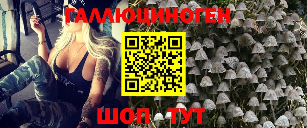 Псилоцибиновые грибы Cubensis Наро-Фоминск