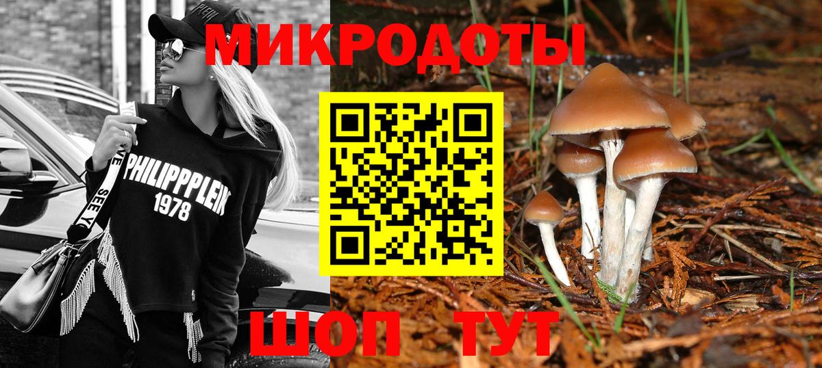 Наро-Фоминск  Галлюциногенные грибы Cubensis  Вход с VPN  Галлюциногенные грибы Cubensis 